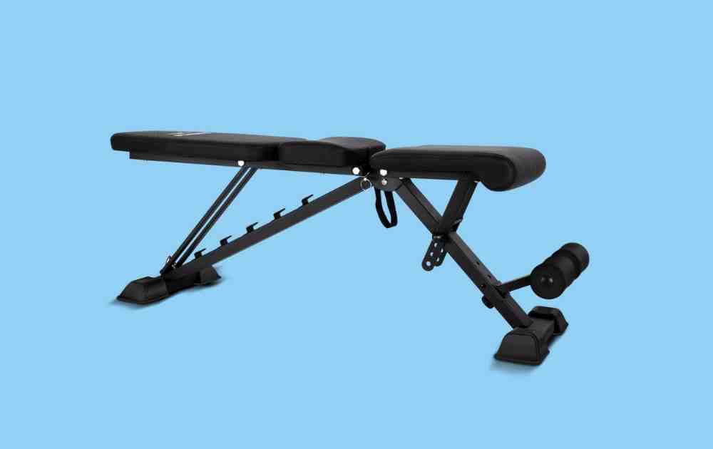 FLYBIRD Adjustable Weight Bench – The Best Budget Adjustable Bench on the  Planet? - YourWorkoutBook