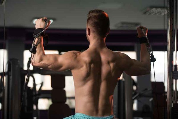 5 Best Cable Machine Shoulder Exercises (Plus a Sample Workout)